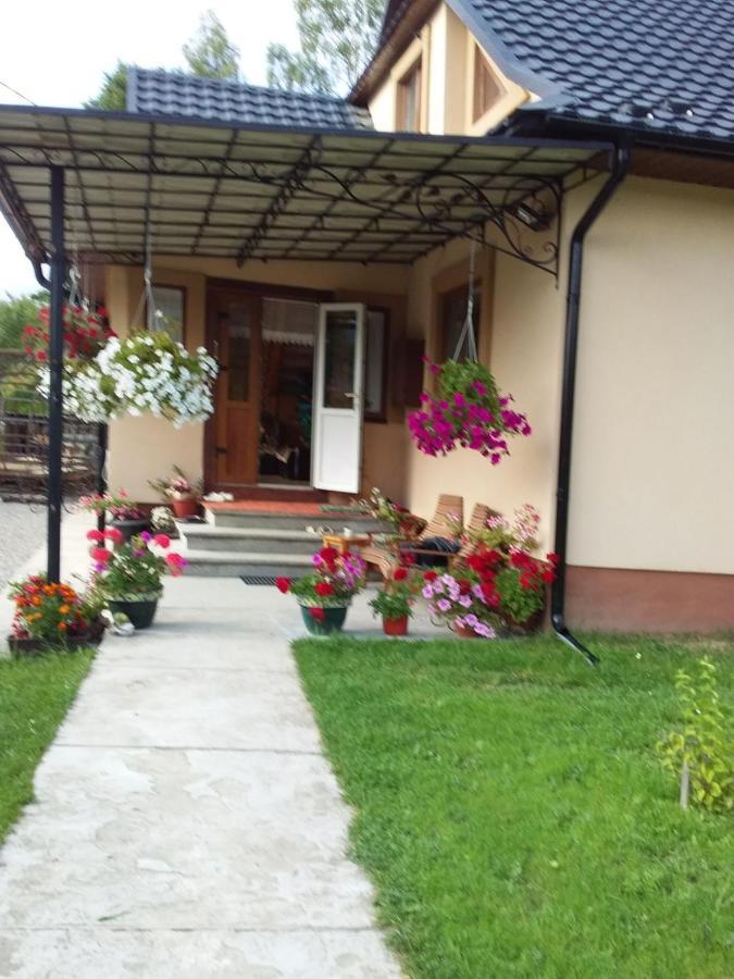Mlynski Mîkulîciîn Exterior foto